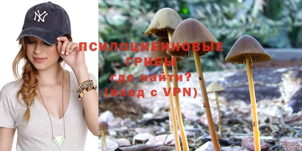 синтетический гашиш Верхний Тагил