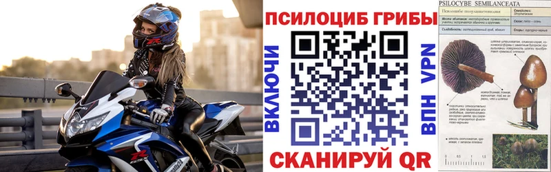 Галлюциногенные грибы прущие грибы  маркетплейс Telegram  Высоковск  купить  сайты 